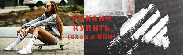 эйфоретик Богданович