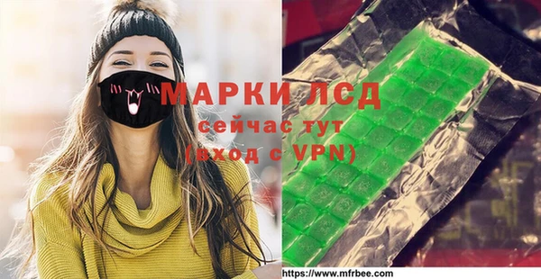 прущие грибы Дмитров