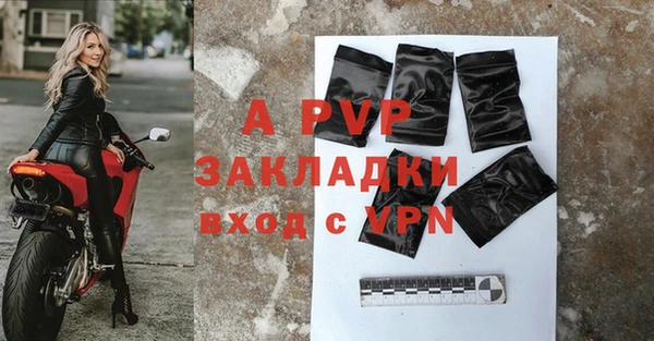 эйфоретик Богданович