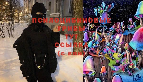 мескалин Богородицк