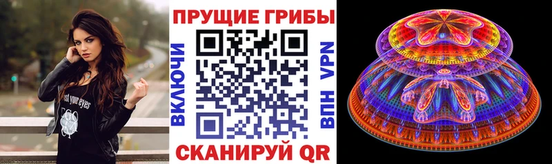Псилоцибиновые грибы прущие грибы  что такое наркотик  Чернушка 