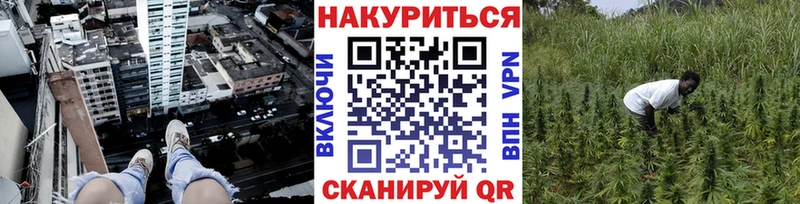 Бошки Шишки семена  магазин продажи наркотиков  Чернушка 